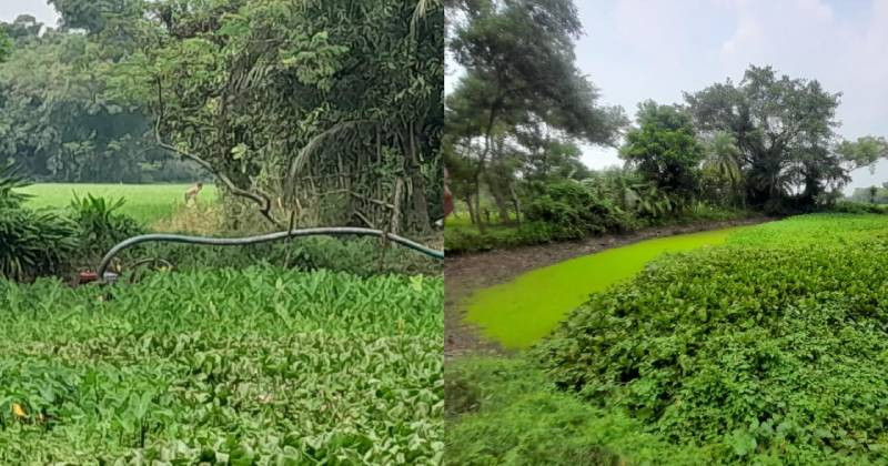 madhabpur_sadia