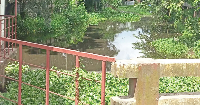 lalmonirhat_sadia