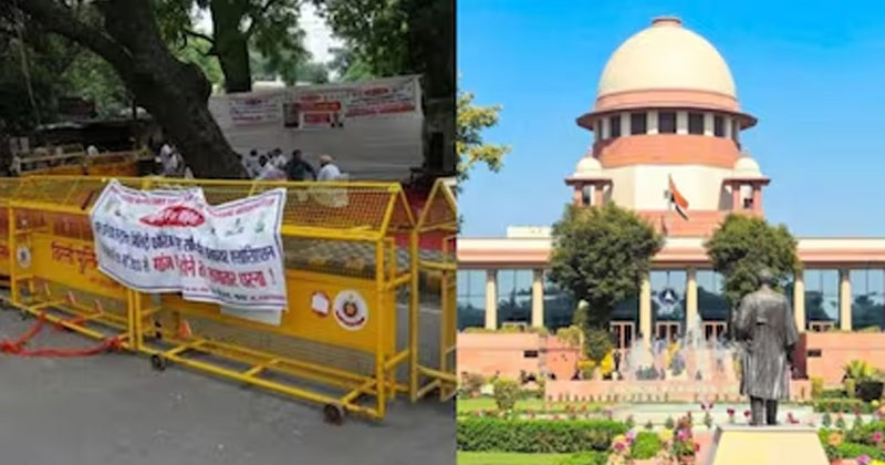 delhi_sadia