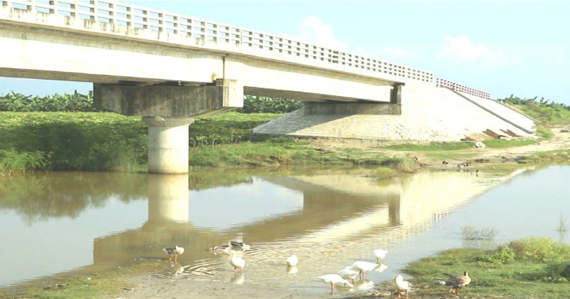 bridge_sadia