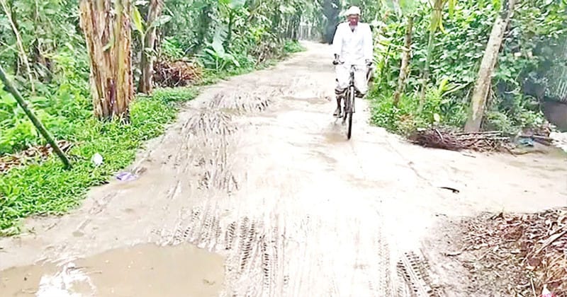 road_sadia